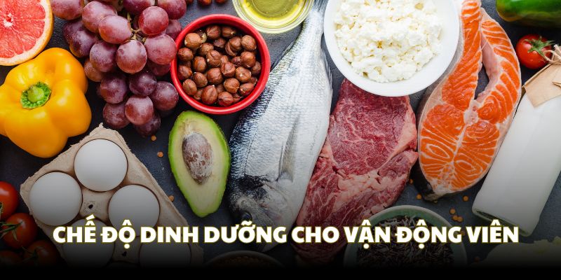 Chế độ dinh dưỡng cho VĐV